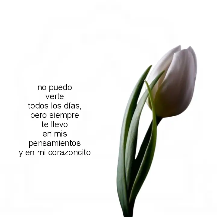 @𝘱𝘳í𝘯𝘤𝘪𝘱𝘦 𝘥𝘦 𝘱𝘢𝘰💗 ya quiero verte amor, ya necesito demasiado que estemos juntitos:(, teamo bonito mío💘 #manuel #teamo #fyp #parati