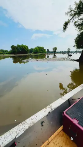 Just taking a stroll through some of the promise lands of Louisiana #CheauxYeauxAlwaysGoneShine #cajunwrenchmods #fyp #Basin #gatortailoutboards 