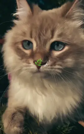 ثقي في نفسك ✨🌸#أثر #ايجابية #تحفيز #يارب #طاقةايجابية 