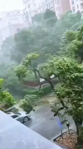 Guangdong Province China...Ragasa super typhoon  😔  😥 #ashleydear #ley_am #ley_am 