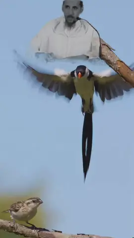 #LIVEIncentiveProgram #LIVEStory #PaidPartnership #مصطفى_هلال 