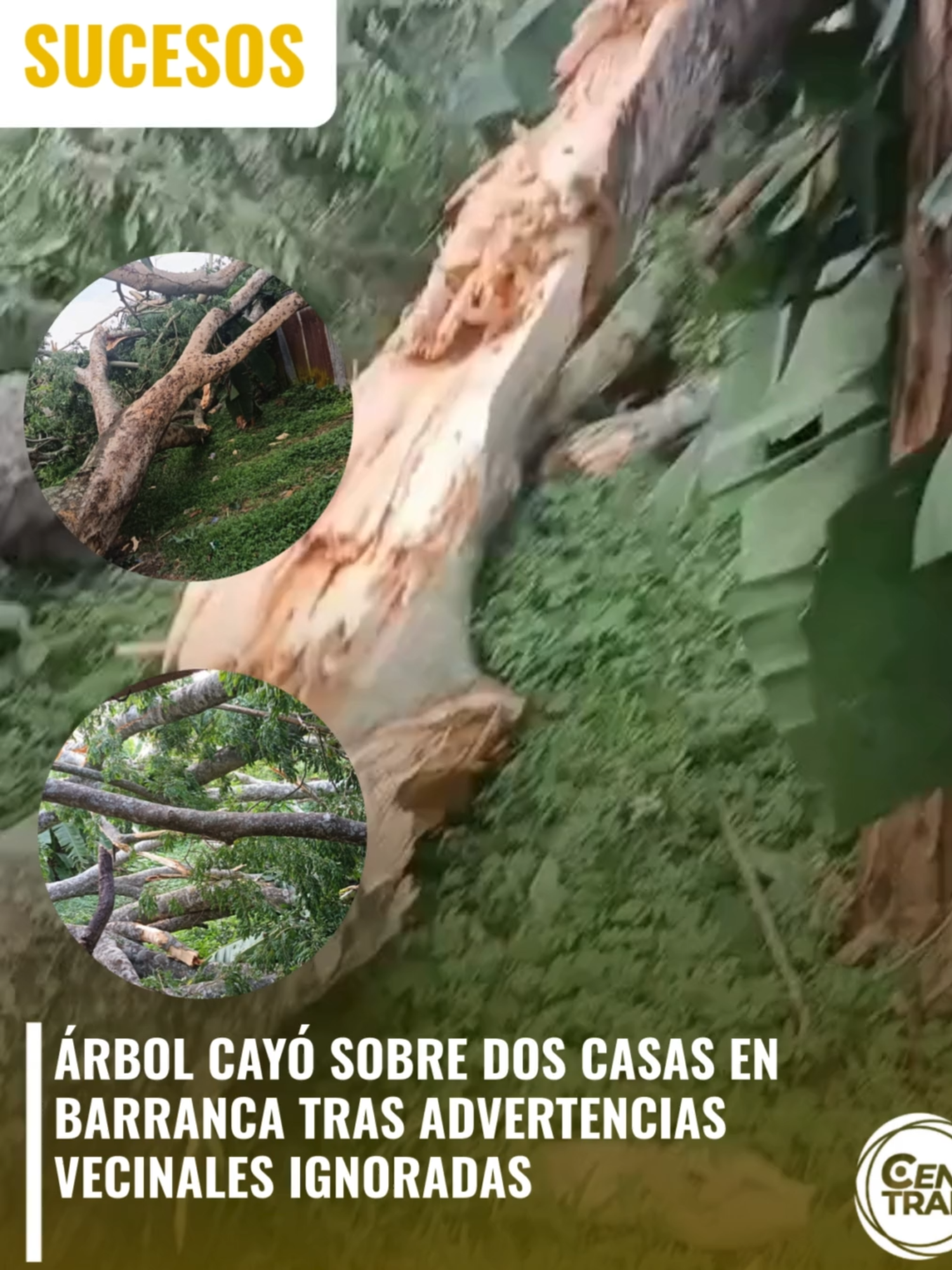#Sucesos | Un árbol cayó y afectó dos casas en Barranca de Puntarenas. Según vecinos, días antes las familias habían solicitado ayuda a las autoridades para retirarlo, pero no recibieron respuesta. 📷 Recuerde sintonizar #CentralNoticias de lunes a viernes a las 2 p.m. en Central Ahora y nuestra edición estelar a las 8 p.m. por Gente Opa #Canal38. Nos encuentra en 20 digital de Liberty, 20 análogo y 701 digital de Telecable, 038 TIGO, 38 KaTV, 2110 digital de Kölbi, 38 Metrocom, Claro IPTV canal 38, Cable Caribe análogo 54 y 277 IPTV, KTV-IPTV canal 38 y Cable Plus canal 10 y digital 49.1. #Puntarenas #Sucesos #CentralNoticias