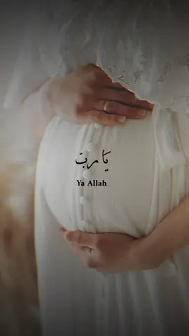 #ربي_لاتذرني_فردا_وانت_خير_الوارثين #اجمل_عطايا_ربي #برنسيستي_لُجين❤️ #حوامل_اي_شهر_صرتو_🤰🤰😍🦋 #جنيني #حوامل #حامل #جنيني_الله_يطعمني_شوفتك_بين_ايدي #اللهم_سهل_لي_ما_تبقى_من_حملي #اكسبلورexplore #lojeenmaher #دعمكم #CapCut 
