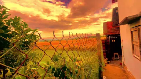 Tết đến rồi#xuhuongtiktok2025 #canhdepmientay #binhyen #tamtrang #xh 