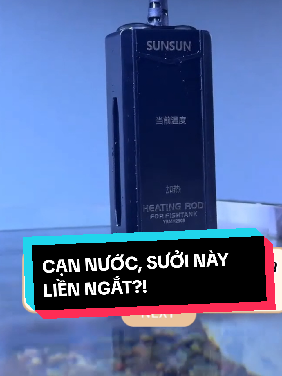 Sao phải lo tốn điện mà để cá bị lạnh? Sưởi bể cá lõi thép, làm nóng siêu tốc, tự động ngắt khi đủ nhiệt. Giữ nhiệt độ ổn định, cá khỏe re. Mùa đông không còn đáng sợ. #zenaqua #Sưởibểcá #sưởibểcálõithép #sưởiấmhồcá #máysưởibểcá