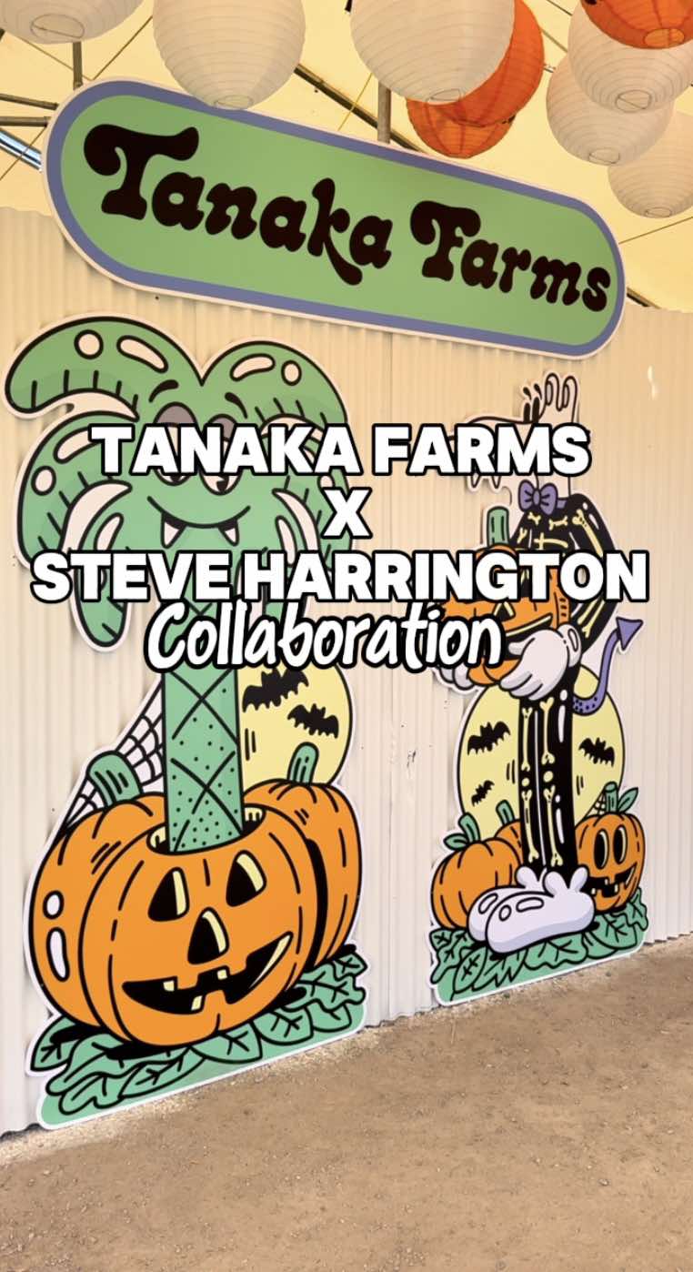 Kicking off fall at Tanaka Farms with the Steve Harrington collab was such a cool experience. Pumpkins everywhere with Harrington’s signature designs made it feel like a mix of art, fun, and fall all in one place.   @tanakafarms  #SteveHarrington #TanakaFarms #PumpkinPatch #FallInOC #SoCalFall            