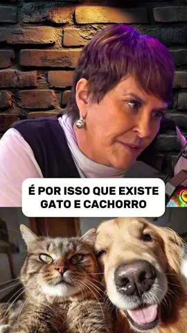 #medium #animais #gato #cachorros 
