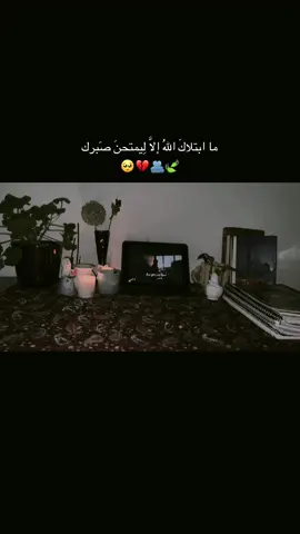 #م 🍃🫂..!!                #لايك_متابعه_اكسبلور #صلوا_على_رسول_الله #ادعولي_دعوه_من_قلبكم #تصويري📸 