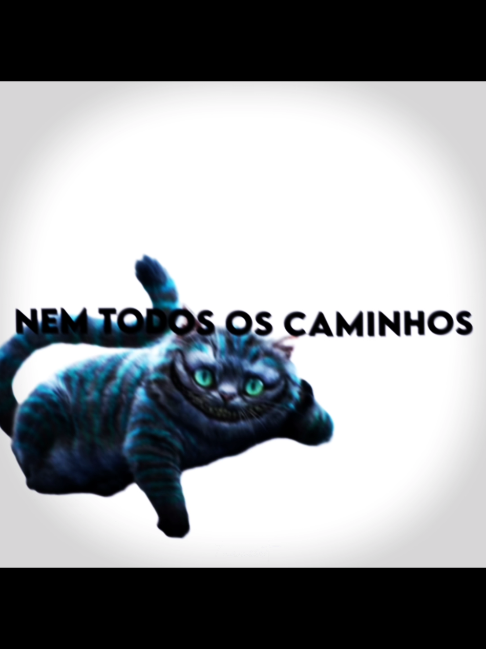 Nem todos os caminhos levam a Roma! Relógios não marcam destinos! #coelho #tempo #gatocheshire #edit #tudoquestaodetempo 