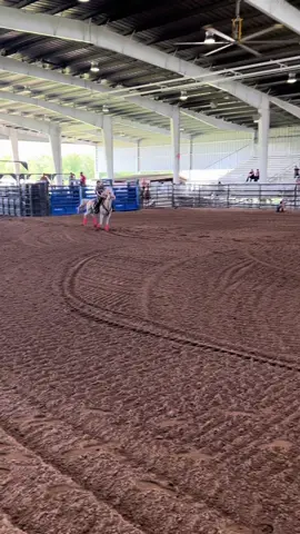 #arena #mare #barrelhorse #horse #blessed 