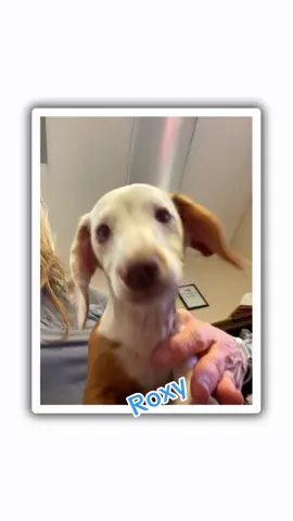 #roxy @Sharene Ingram 