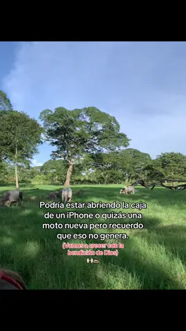🙇🏻 #paratii #fyp #ganadero #agropecuario #Viraltiktok 