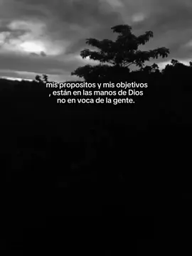 frr💆‍♂️#fyp #parati #motivation #frases #motivacional 