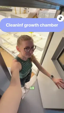 good thing it was hair wash day 🧬🌱 #phdlife #phd #yale #plantbiology #gradschool 