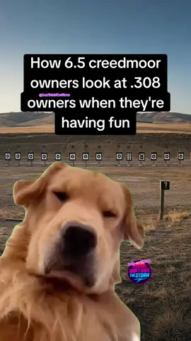 #gunmemes #donthatethestorm 