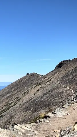 Heading back down from the Fremont Lookout at Mt. Rainier National Park in 4k  #pnw #offcourseexplorations #fremontlookout 