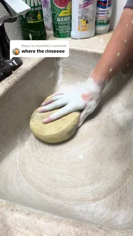 Replying to @charlotte rinse to this pine bleach combo  @CleanCorner  enjoy 🤩 #fyp #spongesqueezingasmr #suds #rinse #CleanTok 