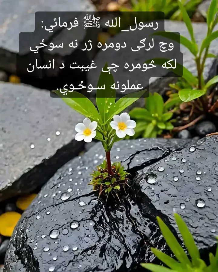 #❤❤ #مُحَمَّد ﷺ❤❤#foryoupage #following