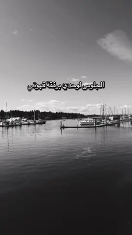 🤲🫶 الحمد لله دائما وأبدا🤲🫶