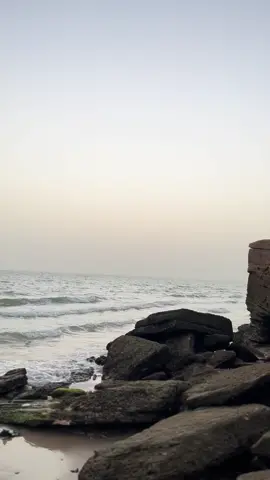 #الشعب_الصيني_ماله_حل😂😂 