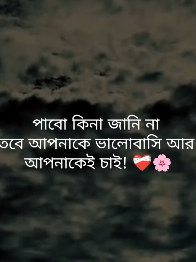 পাবো কিনা জানি না  তবে আপনাকে ভালোবাসি আর  আপনাকেই চাই! ❤️‍🩹🌸#fypシ゚ #foryou #status #tibro04 #unfreezemyacount 