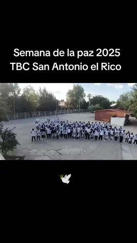 Semana de la paz TBC 