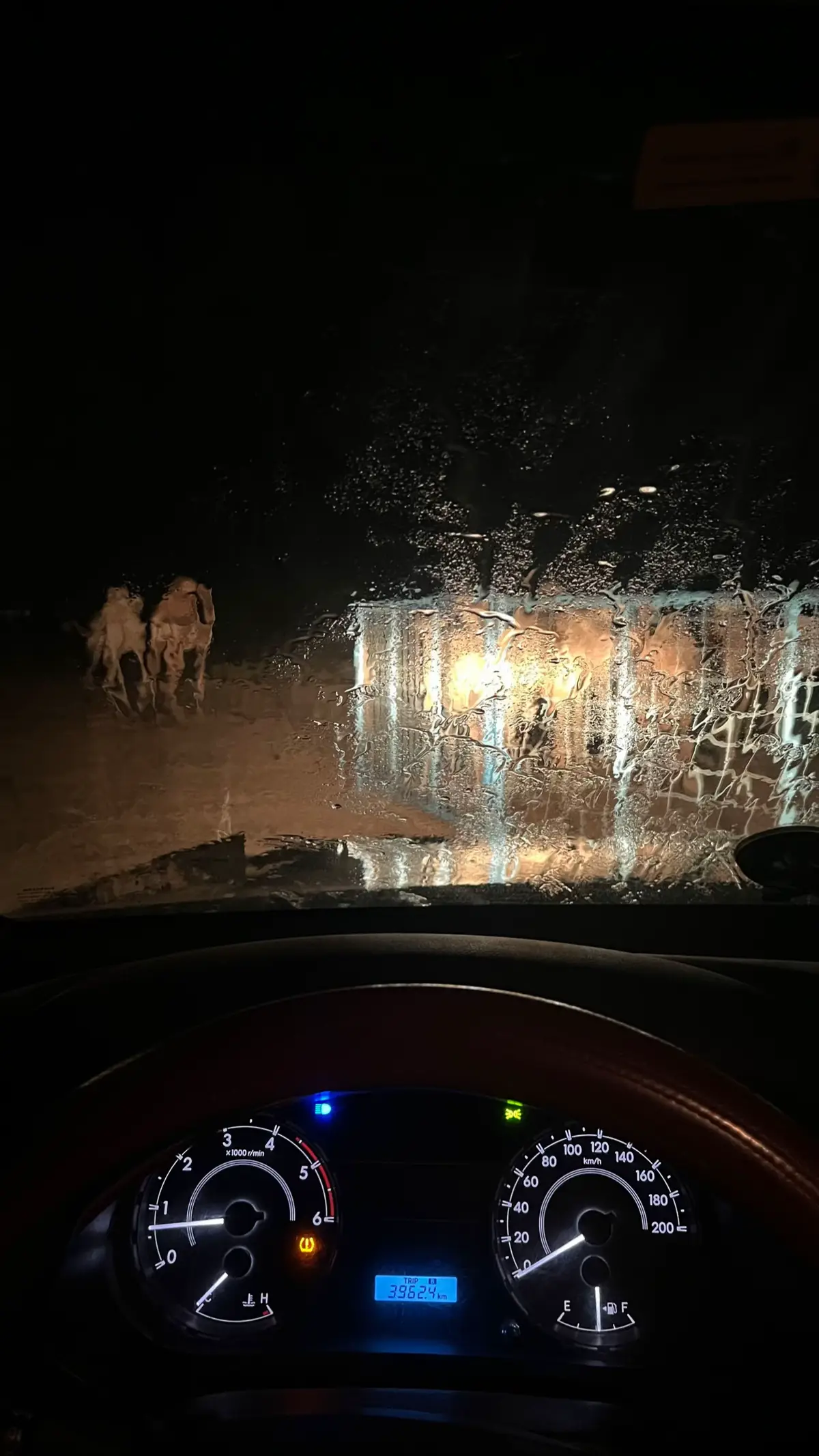 #اكسبلور #نشر #لايك #متابعة #مالي_خلق_احط_هاشتاقات #القصيم #عشوائيات #ترند #تصويري #fyp #هاشتاق 