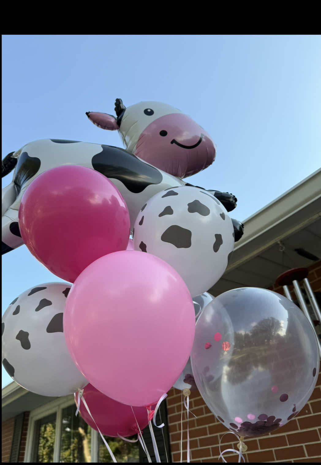 Birthday gift for my Bestie 🐮 💖👜  #giftideas #coach #bdaygirl   