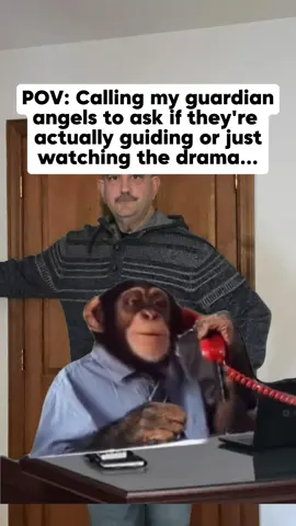 #MemeCut #Meme #MemeCut #monkey #fyp 