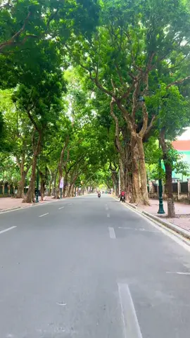 Phan Đình Phùng 8:00 | 9/2025 #phophandinhphung #hanoi #muathuhanoi #xuhuong #nhacxuhuong 