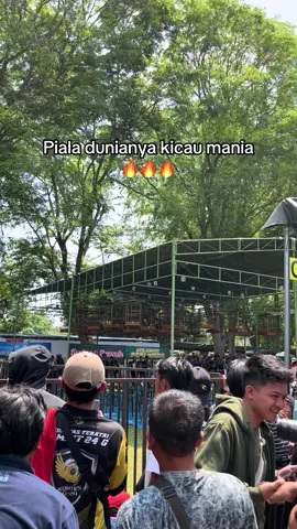 Kiblatnya kicau mania #pialaraja2025 #jogjaistimewa 