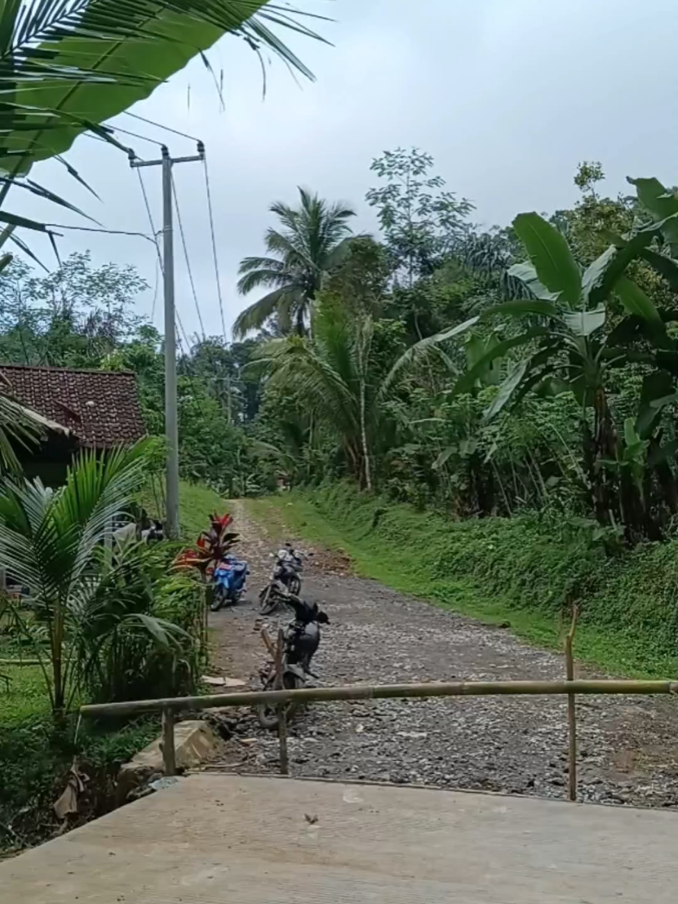 Titik Awal Pembangunan Jalan Cikadu - KLP 🚧 #jalankabupaten Penangan Jalan Kabupaten Cianjur, Cikadu - Kalapanunggal (KLP) KM 0,+850 - 1+400 di Kecamatan Cikadu sejauh ± 550 m, lebar 4 m dengan kwalitas coran dengan dana Rp. 1,6 M APBD 2025, titik Kampung Sinargalih Desa Cikadu. 22/9/25 #cianjur #cikadu 