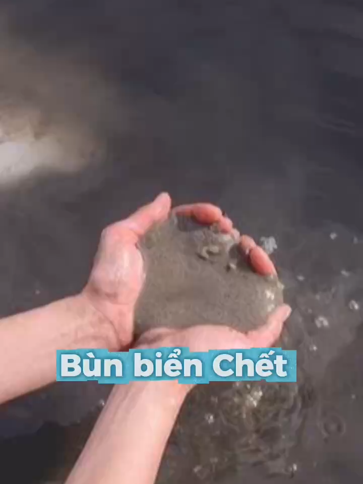 Xà phòng chứa bùn và muối khoáng Biển Chết giúp cải tthiện các vấn đề về da.  #muntrungca, #viemnanglong, #seacretvn , #munlung , #xaphongbunkhoang