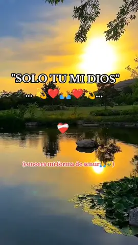 🌻LEO 🌻🌺🦋 Solo Dios conoce mi ❤️ #frasesbonitas🫶 #💙🤍❤️