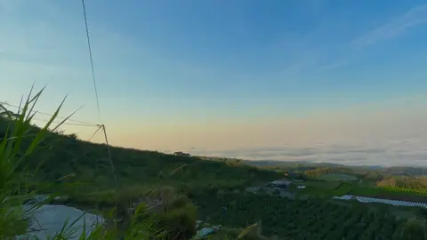 Pesona lautan awan ampelgading ☁️ #ampelgading #wisatamalang #visiteastjava #lautanawan #sunrise 