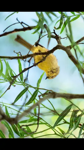 what do you think?  #photography #nature 