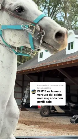 Respuesta a @luisomana886 