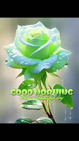 #like viral video plllllz spot me TikTok team 💯💯🌹🦋☕️💧💯#پا گل لڑکی #