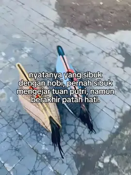 peh jeru kang 🙂 #fyppppppppppppppppppppppp #peternakmuda #katakata #storyayam 