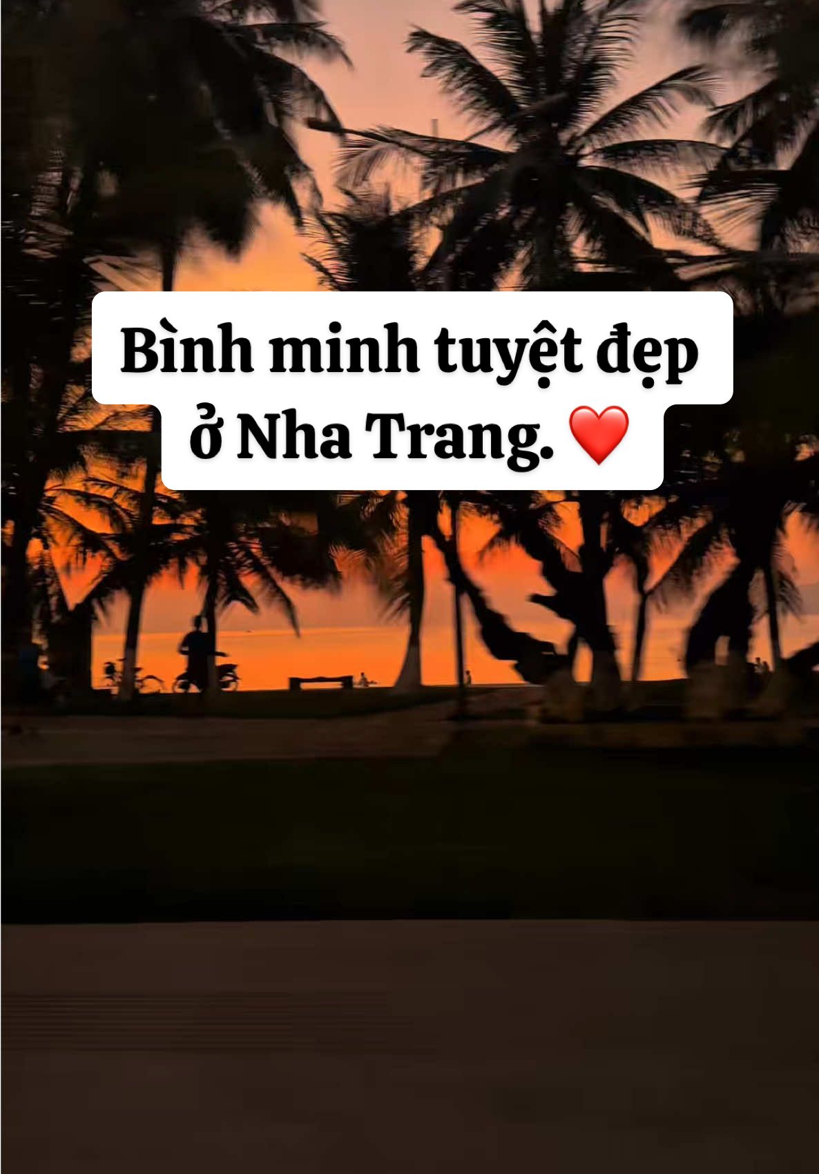 Bình minh ở Nha Trang lúc 5h sáng. ❤️😍 Thật sự quá đẹp lun á. #reviewnhatrang #nhatrang #xuhuong 