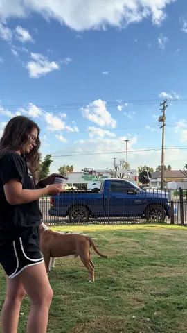 Estoy muy feliz porque se ven felices ya no comen pasto ni se lamen sus patitas muy bueno lo recomiendo ❤️ gracias @petlabco  por crear este maravilloso producto