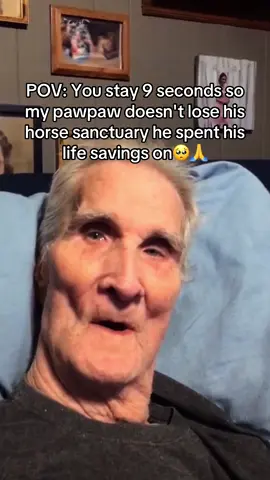 Please tell me if you like them or not, your support would mean the world to us… 🌎🙏❤️‍🩹 #horses #savehorses #blankets #SmallBusiness #sanctuary 