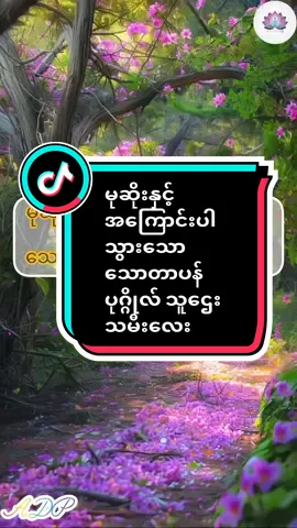 မုဆိုးနှင့်အကြောင်းပါသွားသော သောတာပန် ပုဂ္ဂိုလ် သူဌေးသမီးအကြောင်း🙏🙏🙏#ပါချုပ်ဆရာတော်ဘုရားကြီး၏တရားများ #fyp #အာနန္ဒာတရားပန်းခြံ #တရားနာယူချင်းဖြင့်စိတ်အေးချမ်းပါစေ🙏🙏🙏 #တရားတော်များ @tiktok creators 