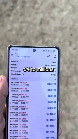 #fypシ゚ #foryou #foryoupage #forextrading #100millionviews 
