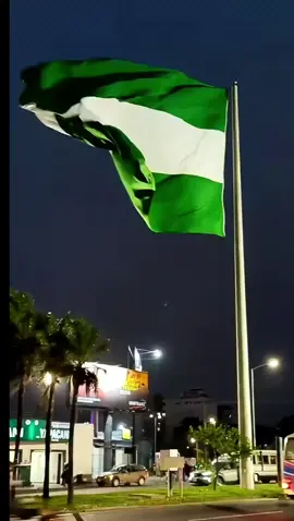 Felicidades Santa cruz ✨💚  #215 #gestalibertaria #orgullosamentecamba🇳🇬 