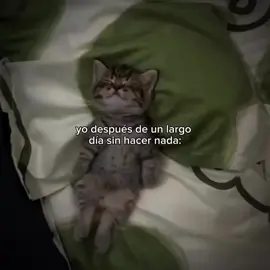 jajaja yo siempre 😂😂😂#paratiiiiiiiiiiiiiiiiiiiiiiiiiiiiiii #humortiktok #contenido 