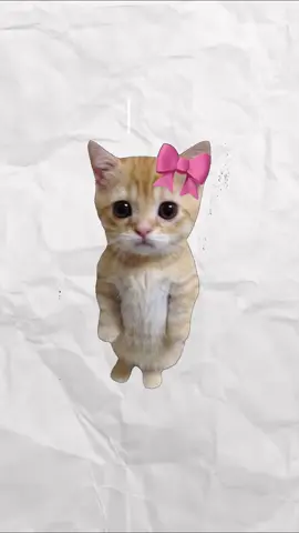 pms (explained by kittens) #kittens #cats 