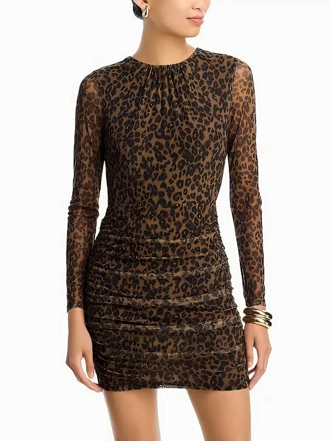 Inoava.com_Leopard_Long_Sleeve_Mesh_Dress@lnoavacom