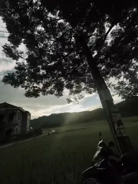 Hay de em ben anh lan cuoi.  #xuhuongggg 