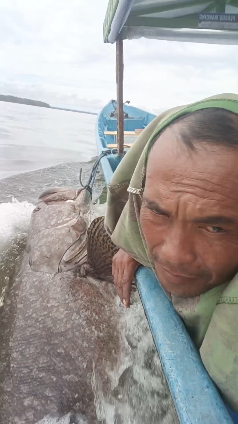 ala   ala tailan dulu Ipul gays hasil mancing hari ini